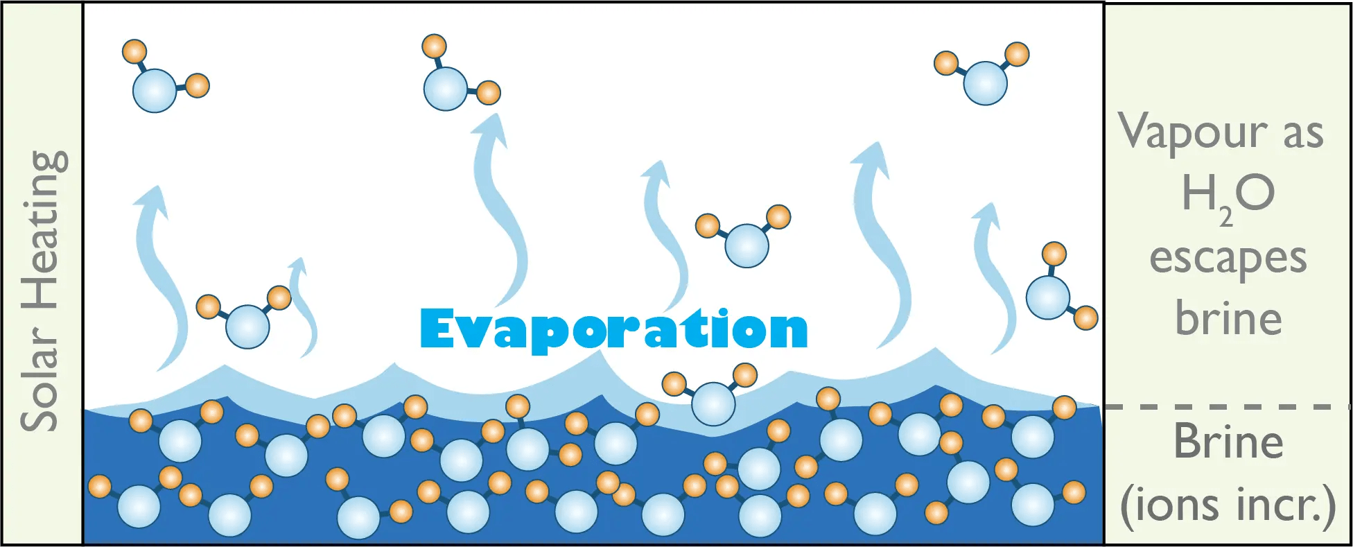 How Does Evaporation Occur / How does evaporation take place at all